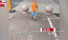 在线观看 盲道,盲道在线观看背后的故事