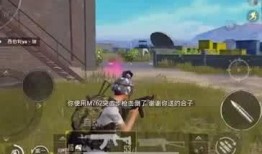 和平静音最新爆料,最新爆料背后的惊人真相